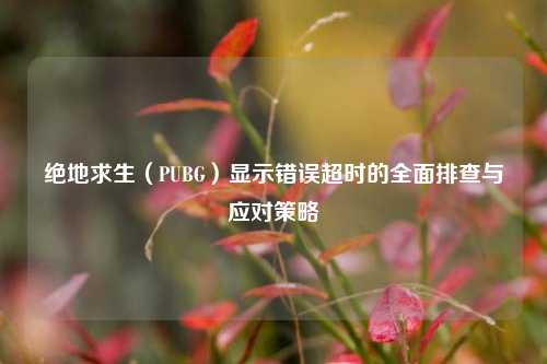 绝地求生(PUBG)显示错误超时的全面排查与应对策略
