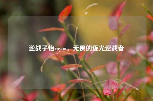 逆战子怡royna,无畏的逐光逆战者