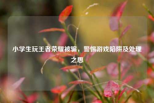 小学生玩王者荣耀被骗,警惕游戏陷阱及处理之思