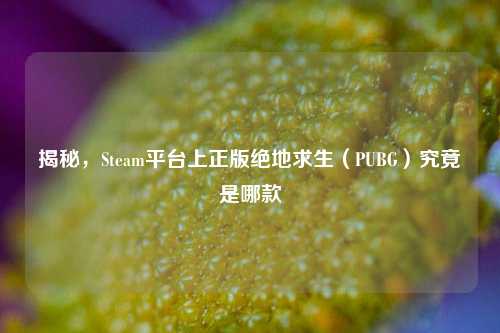 揭秘，Steam平台上正版绝地求生（PUBG）究竟是哪款
