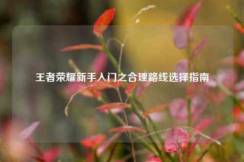 王者荣耀新手入门之合理路线选择指南