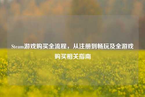 Steam游戏购买全流程，从注册到畅玩及全游戏购买相关指南