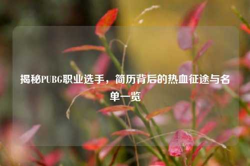 揭秘PUBG职业选手,简历背后的热血征途与名单一览