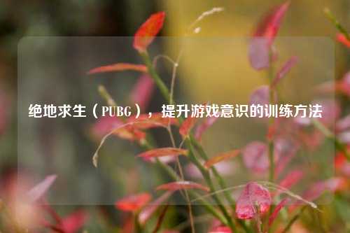 绝地求生(PUBG),提升游戏意识的训练方法