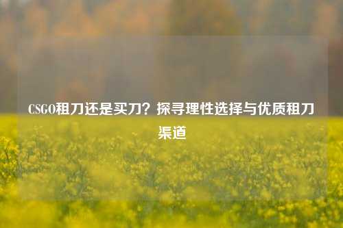 CSGO租刀还是买刀?探寻理性选择与优质租刀渠道