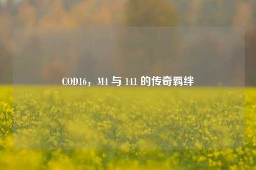 COD16，M4 与 141 的传奇羁绊