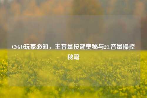 CSGO玩家必知,主音量按键奥秘与2%音量操控秘籍