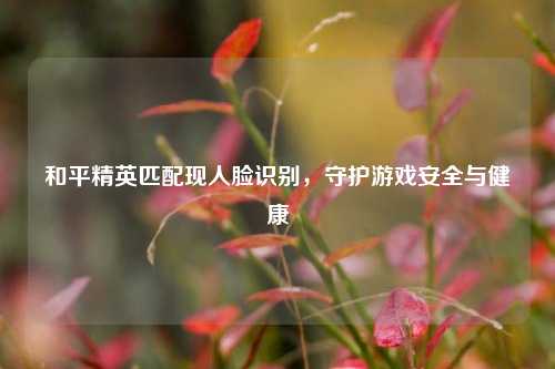 和平精英匹配现人脸识别，守护游戏安全与健康