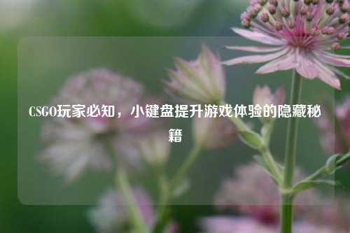 CSGO玩家必知,小键盘提升游戏体验的隐藏秘籍