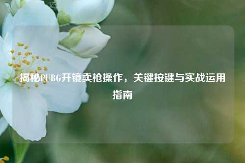 揭秘PUBG开镜卖枪操作,关键按键与实战运用指南