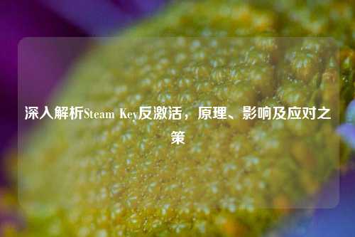 深入解析Steam Key反激活,原理、影响及应对之策