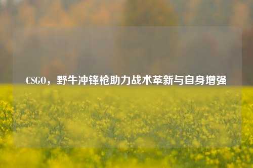 CSGO,野牛冲锋枪助力战术革新与自身增强