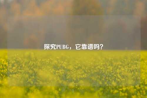 探究PUBG,它靠谱吗?