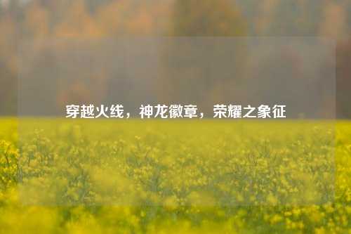 穿越火线，神龙徽章，荣耀之象征