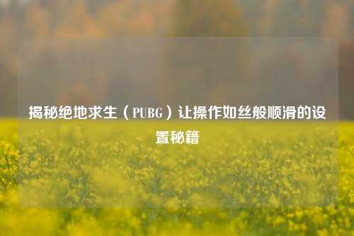 揭秘绝地求生(PUBG)让操作如丝般顺滑的设置秘籍