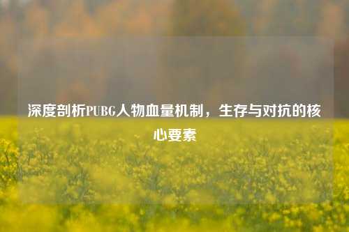 深度剖析PUBG人物血量机制,生存与对抗的核心要素
