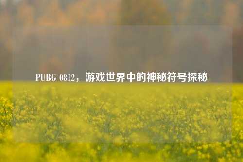 PUBG 0812，游戏世界中的神秘符号探秘