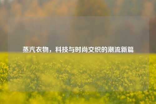 蒸汽衣物,科技与时尚交织的潮流新篇