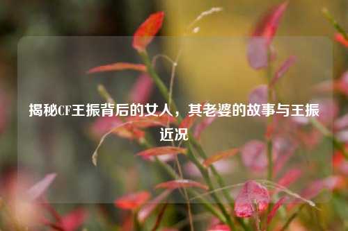 揭秘CF王振背后的女人,其老婆的故事与王振近况