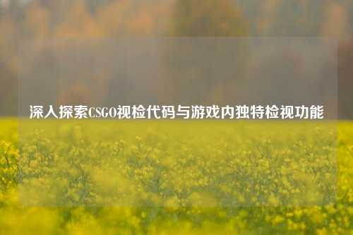 深入探索CSGO视检代码与游戏内独特检视功能