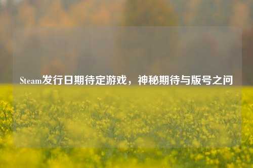 Steam发行日期待定游戏,神秘期待与版号之问