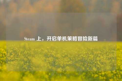 Steam 上,开启单机策略冒险新篇