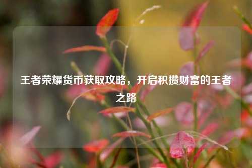 王者荣耀货币获取攻略,开启积攒财富的王者之路