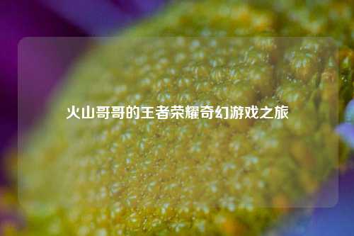火山哥哥的王者荣耀奇幻游戏之旅