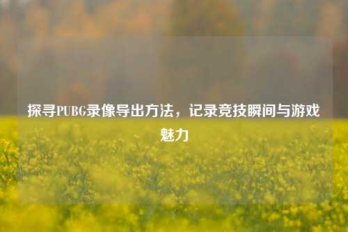 探寻PUBG录像导出方法，记录竞技瞬间与游戏魅力