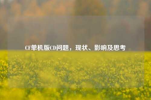 CF单机版CD问题,现状、影响及思考