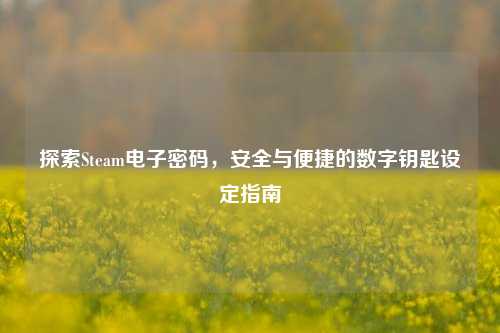 探索Steam电子密码,安全与便捷的数字钥匙设定指南