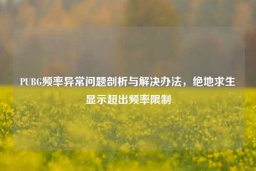 PUBG频率异常问题剖析与解决办法,绝地求生显示超出频率限制