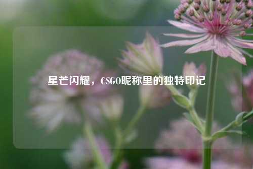 星芒闪耀,CSGO昵称里的独特印记