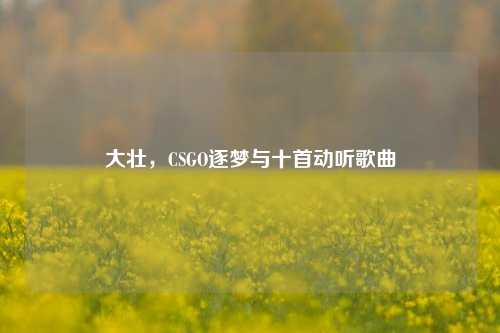 大壮，CSGO逐梦与十首动听歌曲