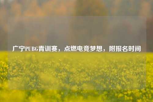 广宁PUBG青训赛,点燃电竞梦想,附报名时间