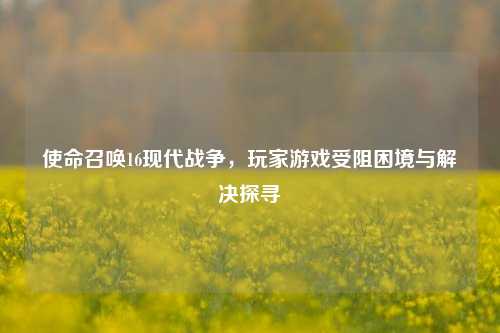 使命召唤16现代战争，玩家游戏受阻困境与解决探寻