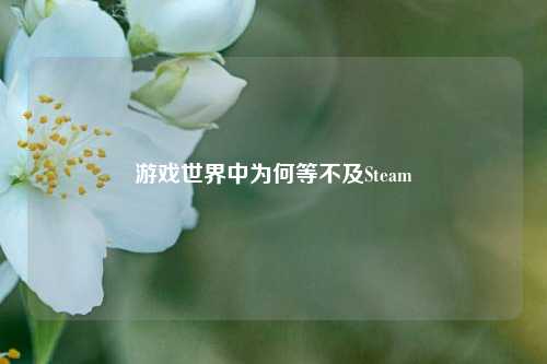 游戏世界中为何等不及Steam