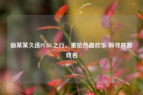 仙某某久违PUBG之行，重拾热血欢乐 探寻其游戏名