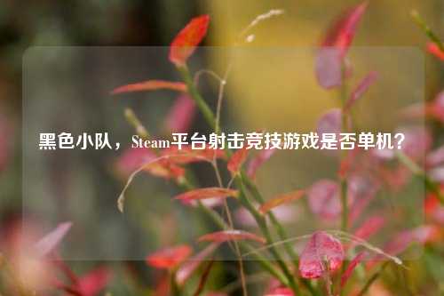 黑色小队,Steam平台射击竞技游戏是否单机?