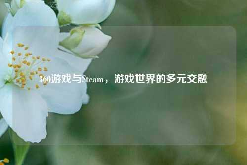 360游戏与Steam，游戏世界的多元交融