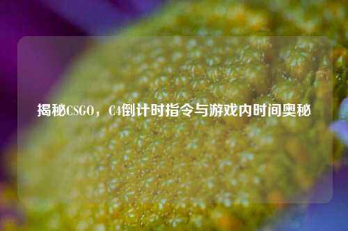 揭秘CSGO,C4倒计时指令与游戏内时间奥秘
