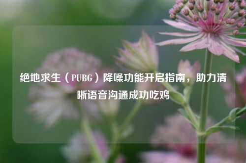 绝地求生(PUBG)降噪功能开启指南,助力清晰语音沟通成功吃鸡