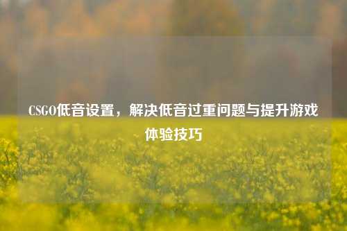 CSGO低音设置,解决低音过重问题与提升游戏体验技巧