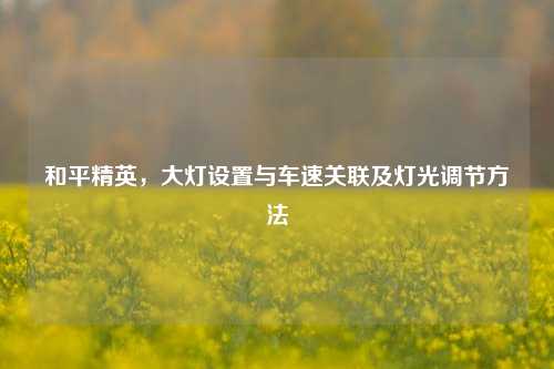 和平精英,大灯设置与车速关联及灯光调节方法