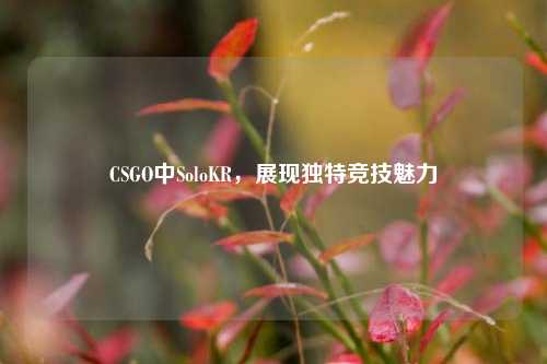 CSGO中SoloKR,展现独特竞技魅力