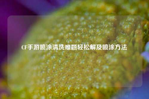 CF手游喷涂清洗难题轻松解及喷涂方法