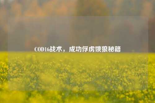COD16战术,成功俘虏饿狼秘籍