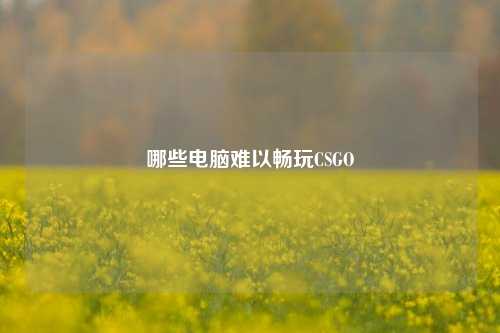 哪些电脑难以畅玩CSGO