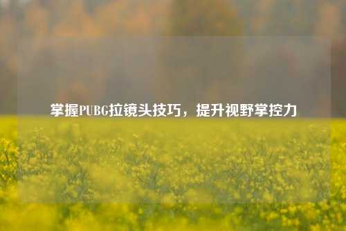 掌握PUBG拉镜头技巧,提升视野掌控力