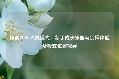 探索PUBG人机模式,新手成长乐园与别样体验及模式位置探寻